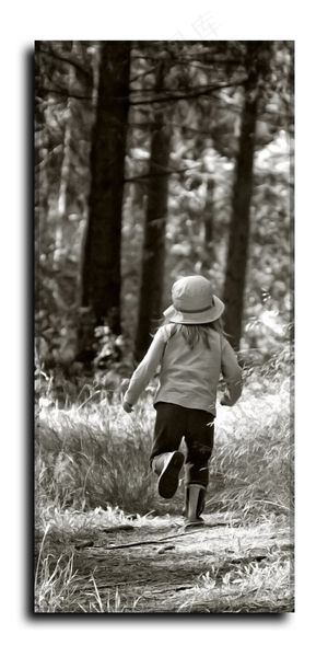 女孩，儿童，竞赛，喜悦，年轻，黑色和白色，森林