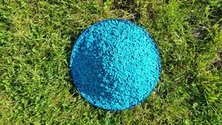 老鼠药，老鼠粮，老鼠药