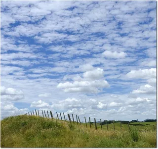 天空,油画,树,风景,神的地带