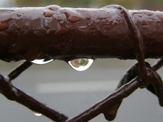滴，雨，雨滴，宏，液体，清洁，液滴