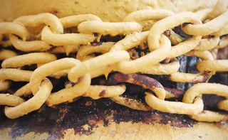 玉米,船蛆,蘑菇,兰花根,家蚕,黄链