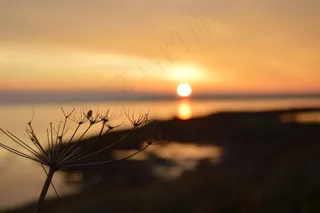 日落，自然，Ro，秋，天空，大海，平衡，水