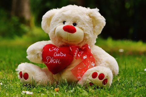 泰迪熊，情人节，爱，熊，贺卡