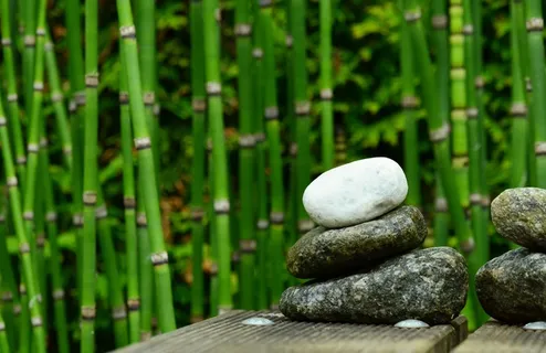石头,竹子,装饰,花园,水,花园池塘 石头,竹子,装饰,花园,水,花园池塘
