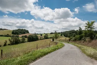 天空,村道,树,风景,街道,景观农村方式领域