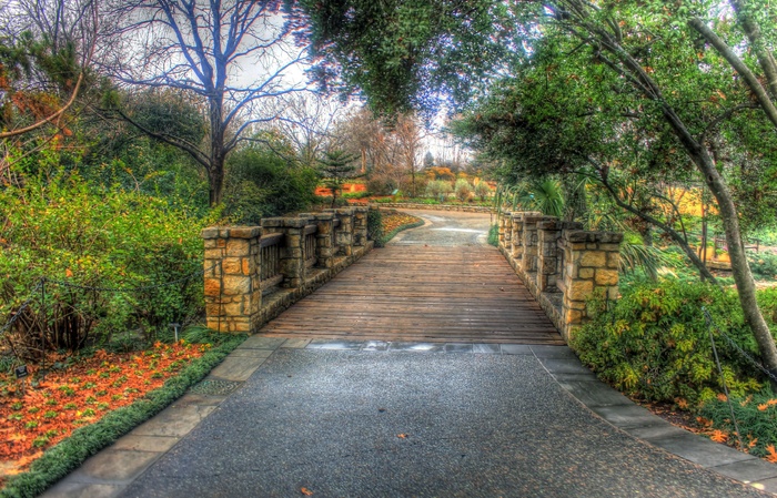 桥，植物园，行人天桥，花园，景观，路径