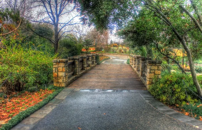 桥，植物园，行人天桥，花园，景观，路径