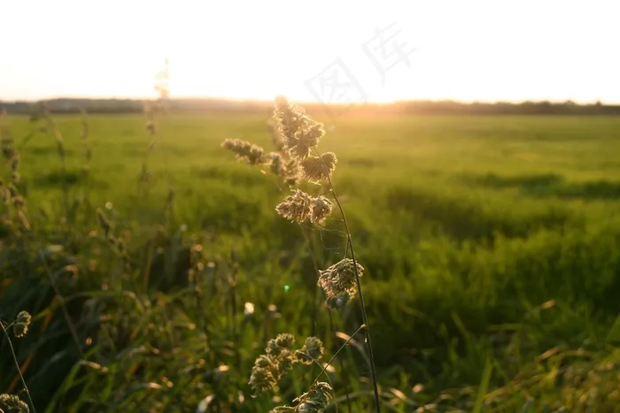 秋，字段，性质，耕地，字段，草地