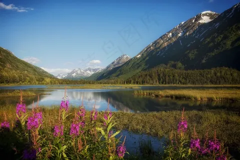 阿拉斯加,湖,水,几点思考,山,雪 阿拉斯加,湖,水,几点思考,山,雪
