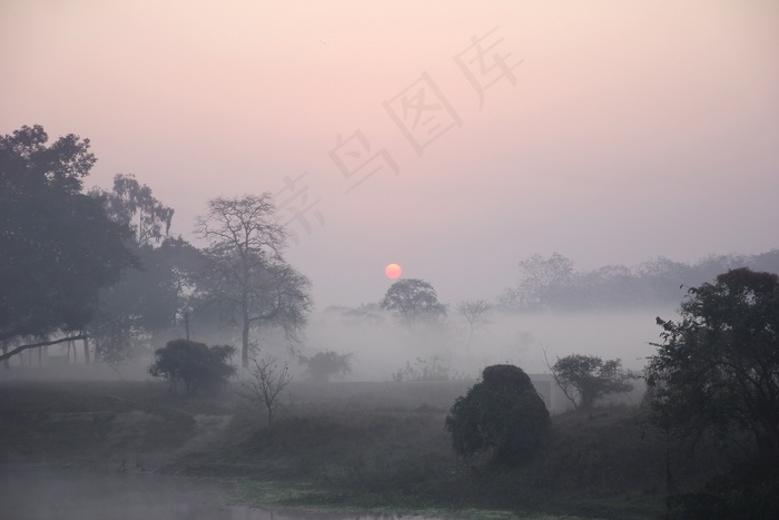 日出，有雾，农村，早晨，自然，太阳