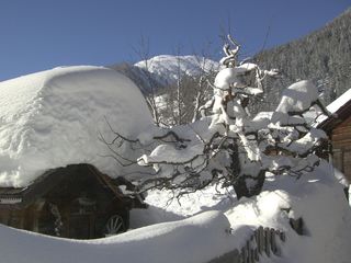冬天，雪，寒冷，冬天，寒冷