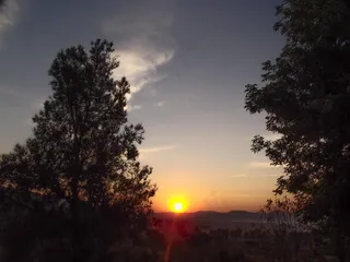 夜，Atradecer，太阳，日落，森林，树木