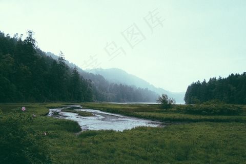 树,江河,草地,风景,天空,与森林和山脉景观