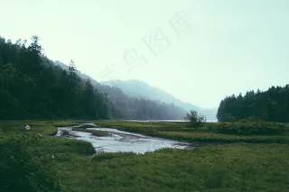 树,江河,草地,风景,天空,与森林和山脉景观