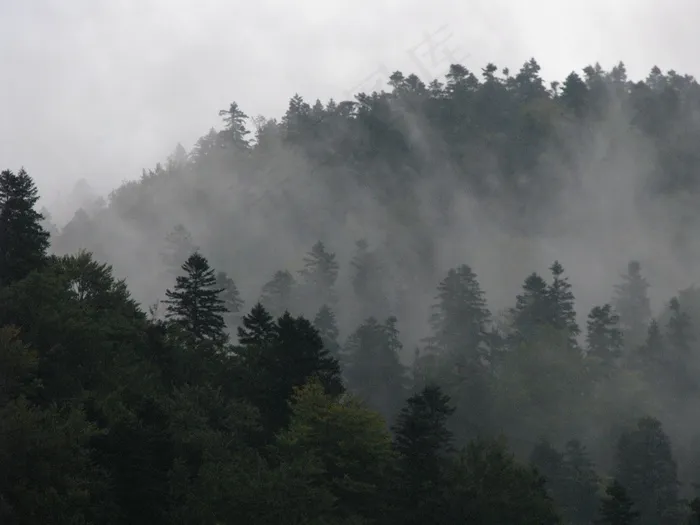 喀尔巴阡山，冬天，景观，寒冷，自然