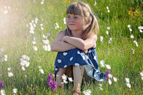 人，人的，儿童，女孩，金发，草地，草