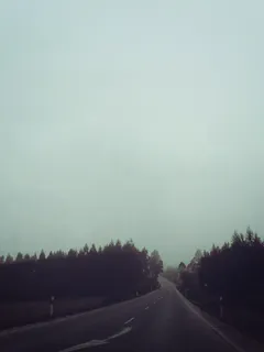 天空,公路,树,大雾,轿车,街路雾霾