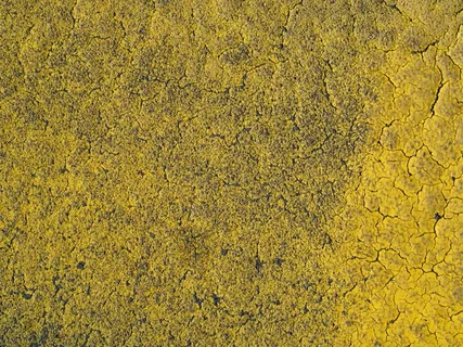 砖石材,彩绘玻璃,材质贴图,隔热砖,地毯,黄色混凝土表面的鸟瞰图 砖石材,彩绘玻璃,材质贴图,隔热砖,地毯,黄色混凝土表面的鸟瞰图