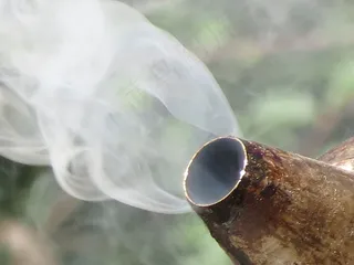 烟，宏观，养蜂人