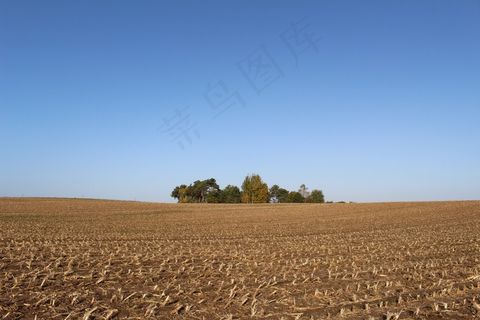 玉米田，收获，秋季，森林，沃尔多斯