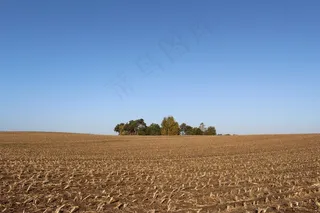 玉米田，收获，秋季，森林，沃尔多斯