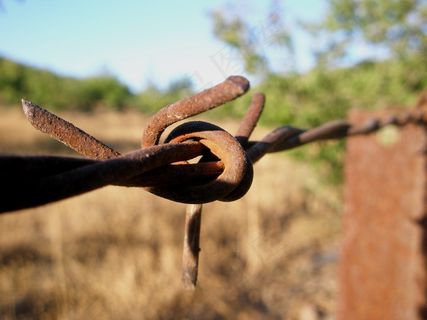电线，山楂，有线