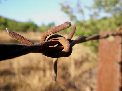 电线，山楂，有线
