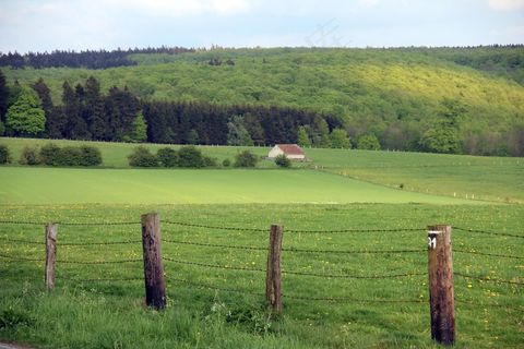 风景，篱笆，森林，蒂托堡森林