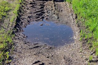 泥，池，水坑，离，自然，下着雨，水