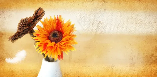 干花，装饰，鲜花，人造花