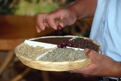 养蜂人,市集,香料,人物特写,五谷杂粮,咖啡豆类型