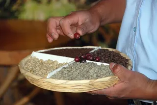 养蜂人,市集,香料,人物特写,五谷杂粮,咖啡豆类型