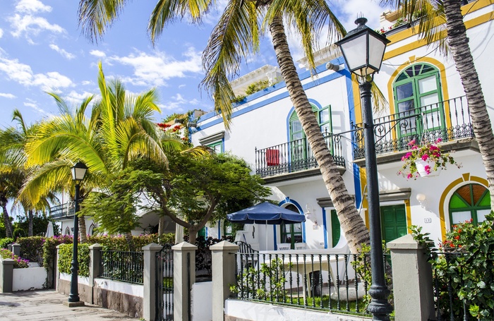 棕榈，树木，房屋，夏天，海滩，旅行，叶，太阳晒