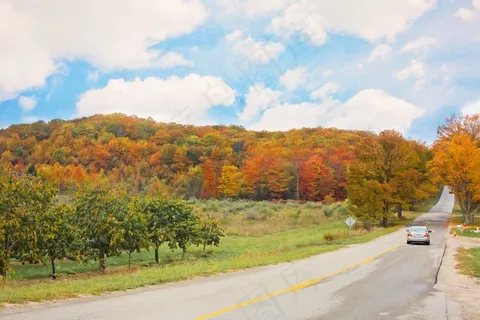秋，秋天，道路，黄色，性质，叶，橙色