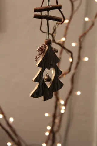 冷杉，木材，自然，圣诞节，光，自然