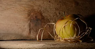 苹果，木材，水果，来临，装饰，圣诞节，背景