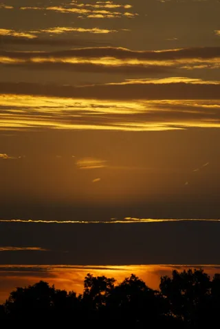 日落，背光，心情，剪影，Abendstimmung