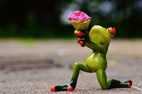 树蛙,猫眼树蛙,青蛙,花卉,变色蜥,跪着青蛙与花束在街上的小雕像 树蛙,猫眼树蛙,青蛙,花卉,变色蜥,跪着青蛙与花束在街上的小雕像