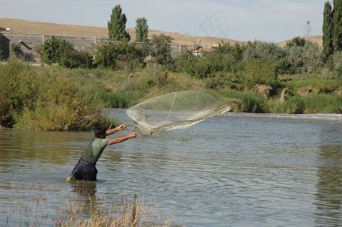 渔夫，铸网，钓鱼，钓鱼网，水域，湖泊