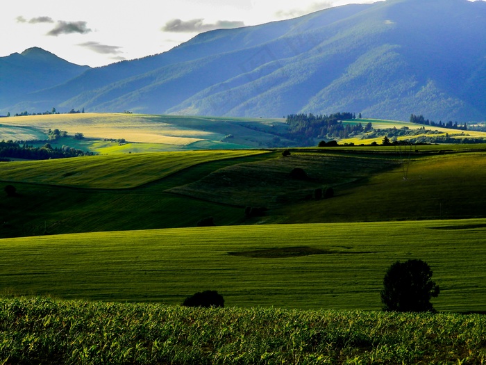 利普托夫，场，山，太阳，日落，斯洛伐克，国家