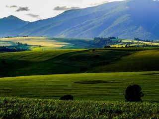利普托夫，场，山，太阳，日落，斯洛伐克，国家