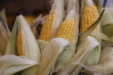 玉米,市场,蔬菜,黄色,新鲜 玉米,市场,蔬菜,黄色,新鲜