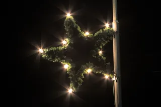 明星，一品红，照明，圣诞节，圣诞市场