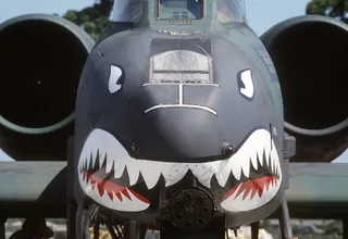 鲨鱼面，飞机，A10雷电II，飞机