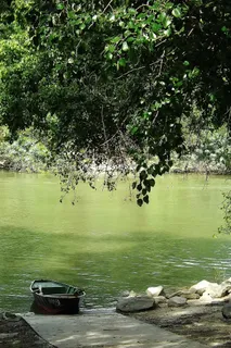 自然,船,宁静 自然,船,宁静