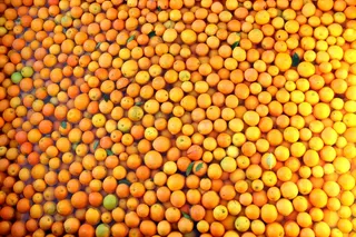 橘子，水果，新鲜，食品，健康，柑橘，成熟