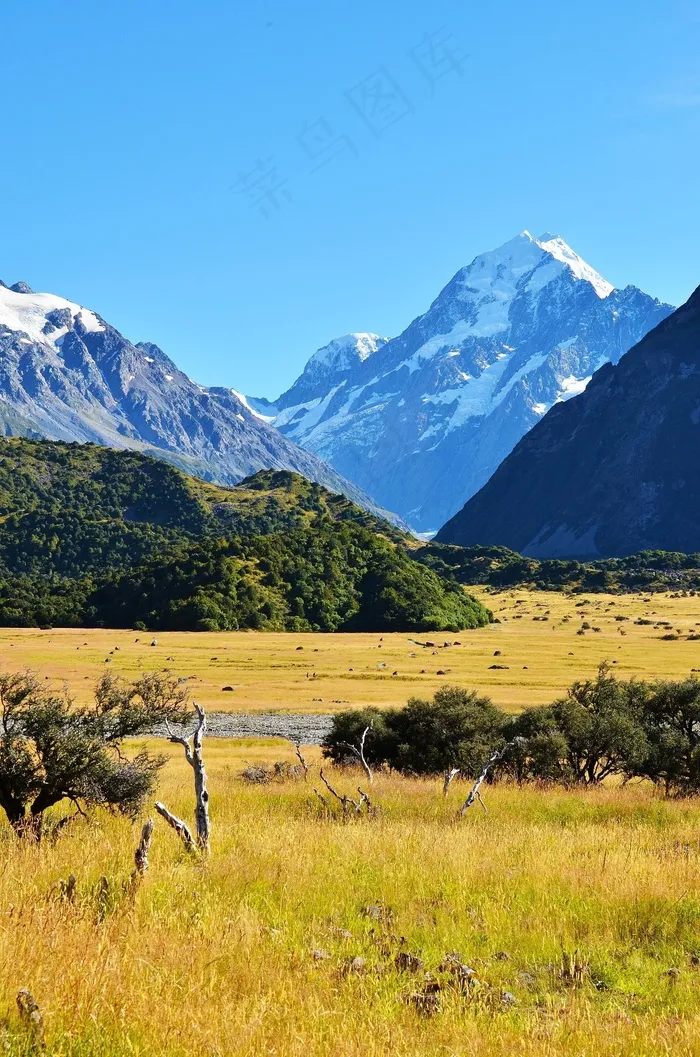 草原，雪山，风景，美丽