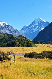 草原，雪山，风景，美丽