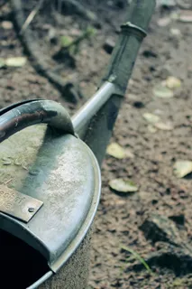 锅，水，铸件，灌溉，喷壶，花园