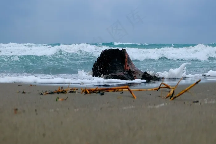海，海洋，水，风雨如磐，海滩，浮木